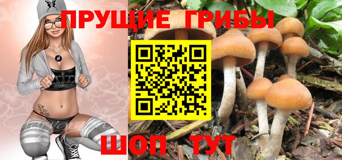 Псилоцибиновые грибы ЛСД Нижневартовск